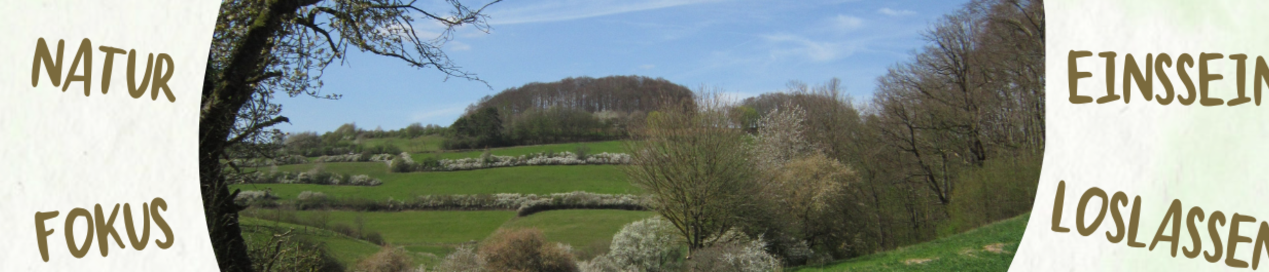 Meditativer Spaziergang