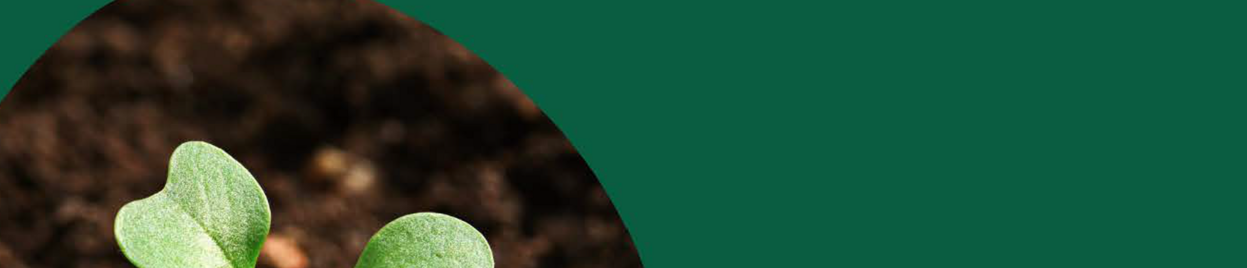 Gottesdienst an Aschermittwoch für Groß und Klein