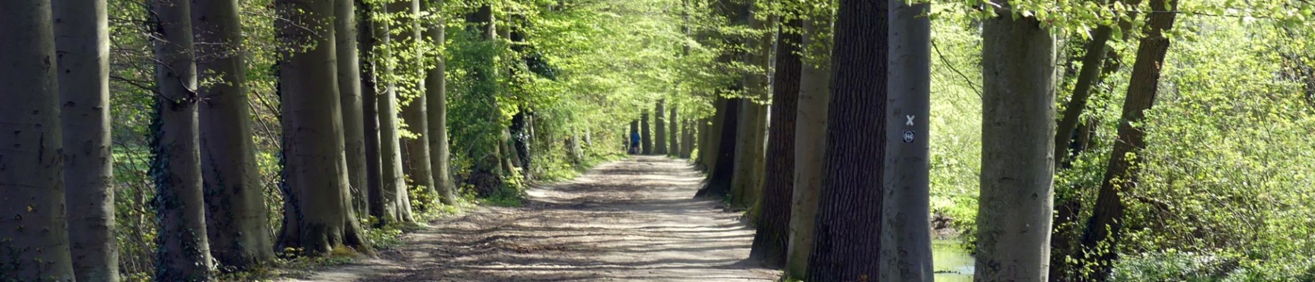 Besinnung und Begleitung